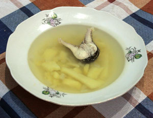 уха из щуки уха из щуки