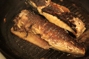 скумбрия с имбирем на гриле скумбрия с имбирем на гриле