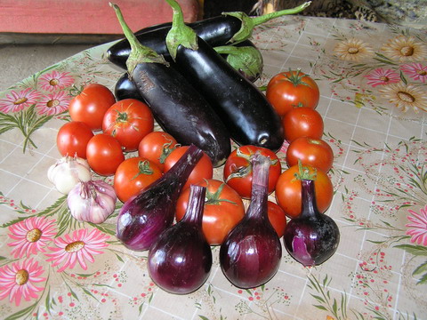 баклажанная икра баклажанная икра